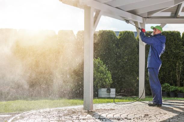 Best Sidewalk and Walkway Cleaning  in Floresville, TX